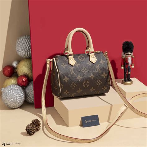 mini speedy bag louis vuitton|Louis Vuitton nano speedy price.